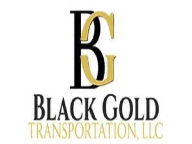 Tampa Bay Private Car Service for Easy Local Travel