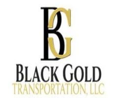 Tampa Bay Private Car Service for Easy Local Travel