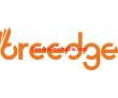 Breedge Trading LLC