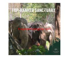 Ethical Elephant Sanctuary Krabi