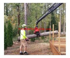 770 Arborist Emergency Tree & Crane Service