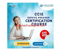 LAN AND WAN TECHNOLOGY OFFERS CCIE TRAINING ONLINE