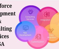 Girikon – Salesforce Development & Consulting Services USA