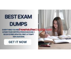 Get Ahead with the Best Exam Dumps of 2024