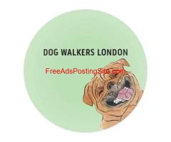 Dog Walkers London