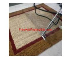 Professional Rug Cleaning in Adelaide