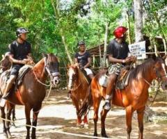 United Airlines Vacations Travel Agents