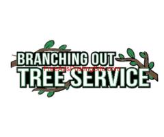 Tree Service Nassau County
