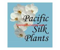 Artificial Plant Sales For Huntington Beach