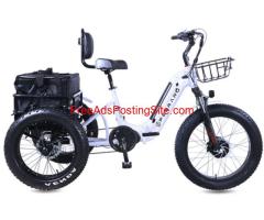 Perraro Panda 750W Electric Trike - Ultimate Three-Wheeled Power