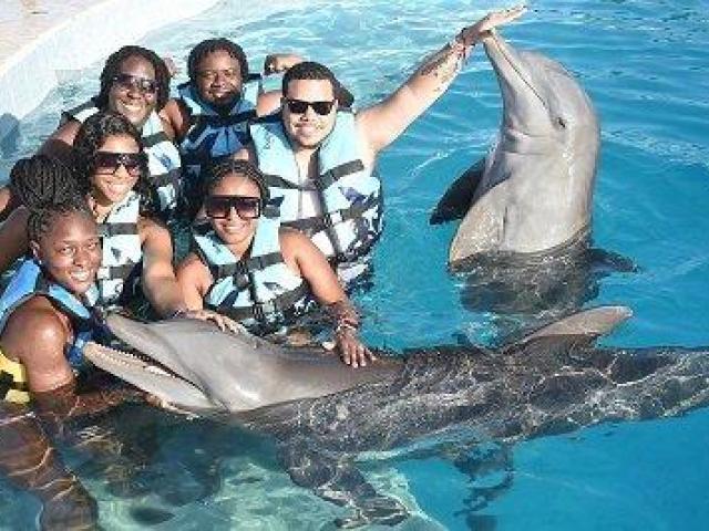 Travel Agents For Flight Booking Queens