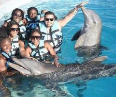 Travel Agents For Flight Booking Queens