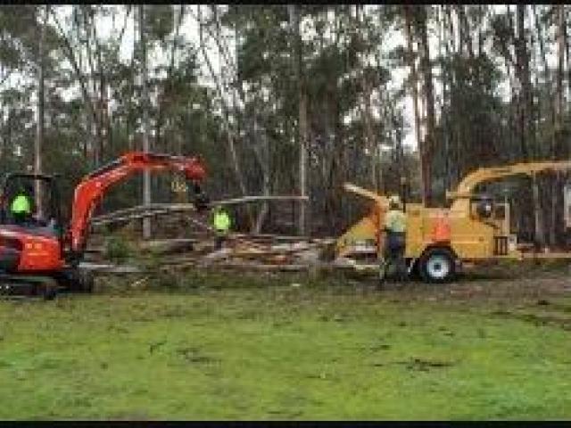 Best Arboricultural Company