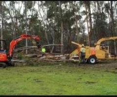 Best Arboricultural Company