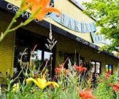 Organic Farm To Table Brunch Minneapolis