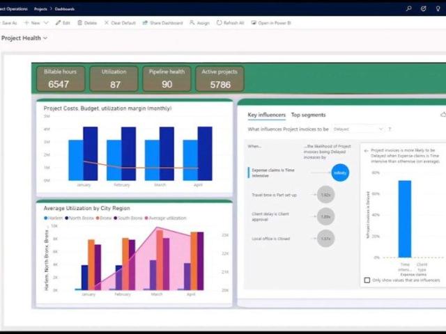 Dynamics CRM Project Service