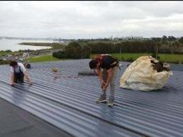 Is Metal Roof Insulation Worth It? How to Slash Energy Bills in NZ