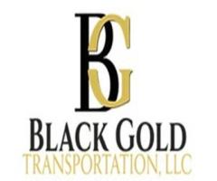 Luxury Car Chauffeur Service for Business Travel