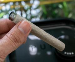 Buy Glass Joint Tips