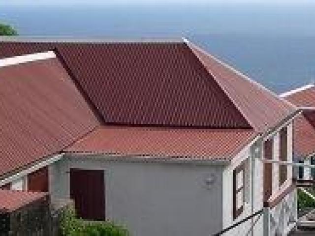 Galvanised Roofing: Is It a Cheap Option or a Smart Investment for NZ Homes