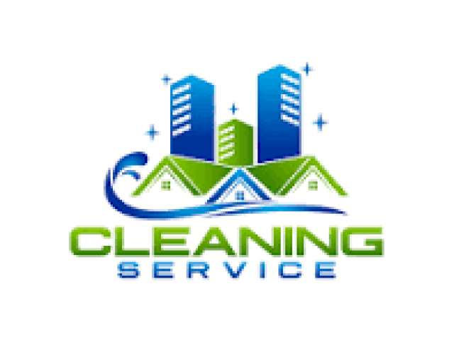 Professional Cleaning Services