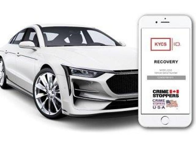 car theft prevention device