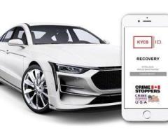 car theft prevention device