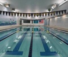 Dolphin Swimming Flagship Pool