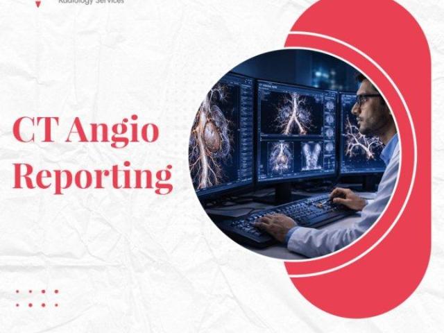CT Angio Reporting for Detailed Vascular Analysis
