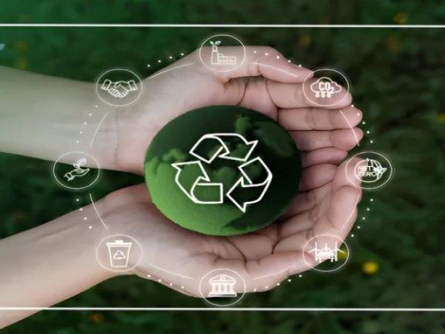 Build a Strong Sustainability Framework with ESG Insights