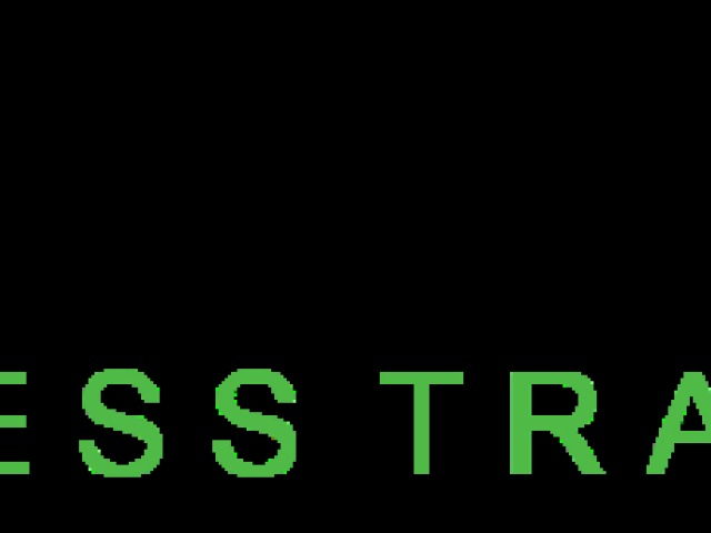 BER-LINE-TRANS - TRANSPORT FIRMA BERLIN