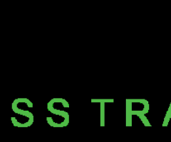 BER-LINE-TRANS - TRANSPORT FIRMA BERLIN