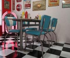 Acquire custom Northstar Elmira appliances for our Retro Kitchen supply store