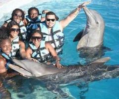 Incentive Connection Travel Inc Queens NY | Sunita Travel Agency