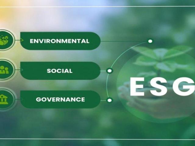 Choose a Trusted Sustainability Company for ESG Excellence