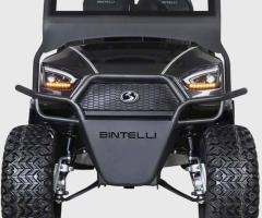 Easy Golf Cart Booking for Anna Maria Island Travel
