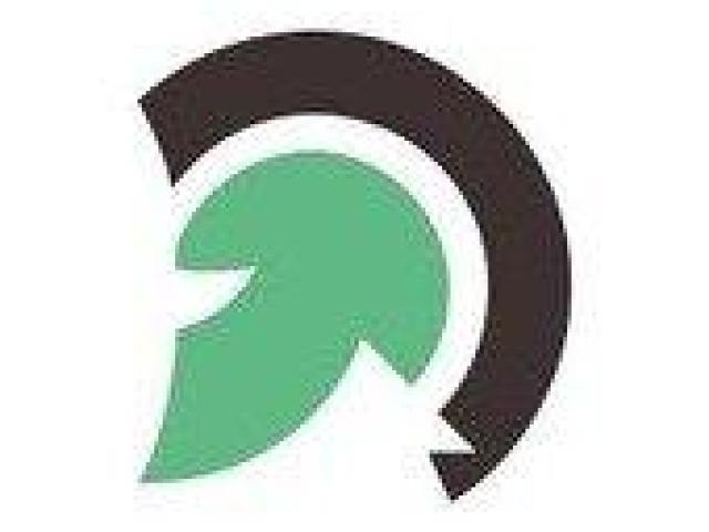 Top Web App Development Services