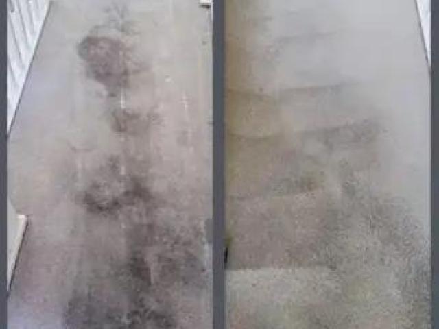 Book weekly, fortnightly, and monthly services for Commercial carpet cleaning Adelaide
