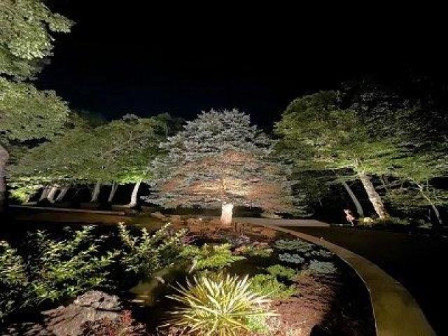 LED landscape lighting Coral Gables