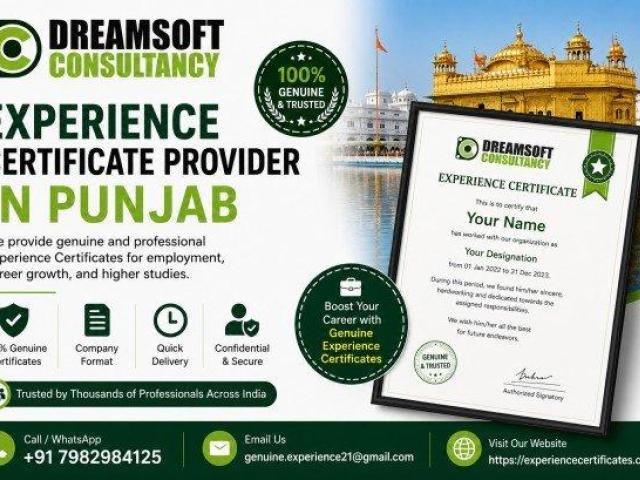 Complete Experience Letter Services in Punjab