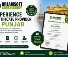 Complete Experience Letter Services in Punjab