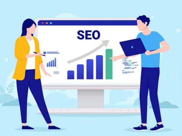Professional SEO Agency in Laxmi Nagar