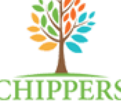Common Reasons Homeowners Remove Trees in Dallas