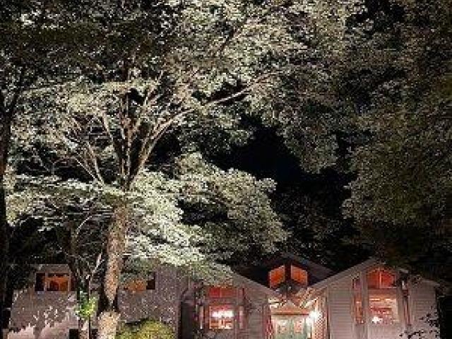LED landscape lighting Coral Gables