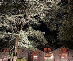 LED landscape lighting Coral Gables